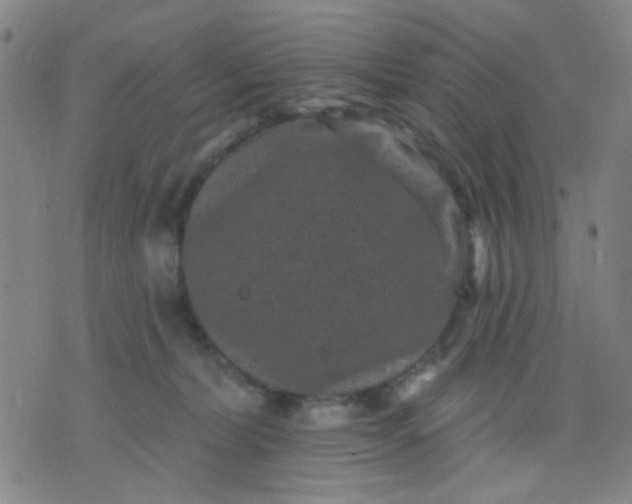 X0000076100228200610061714