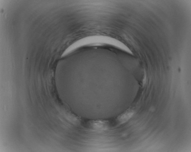 X0000076100229200610061714