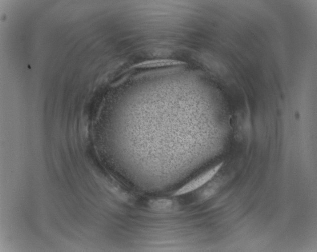 X0000076100230200610061714