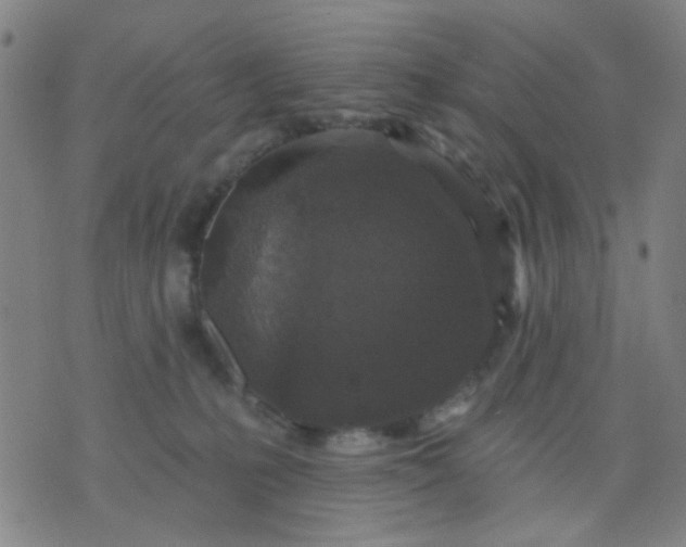 X0000076100231200610061714