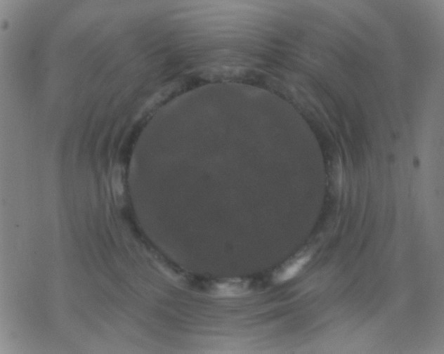 X0000076100232200610061714