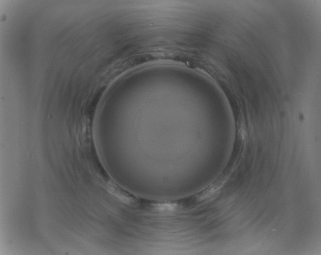 X0000076100233200610061714