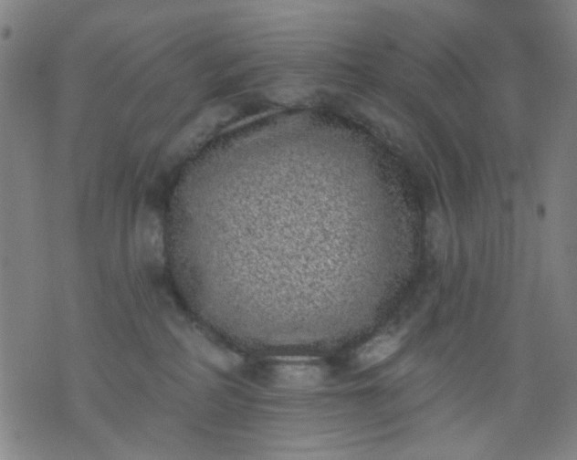 X0000076100234200610061714