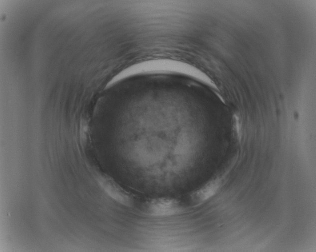 X0000076100235200610061714