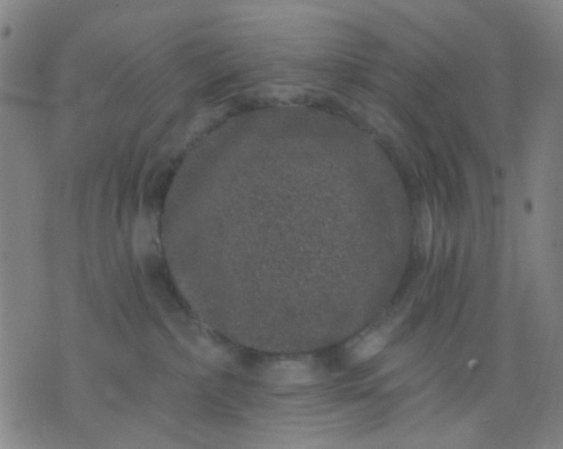 X0000076100236200610061714