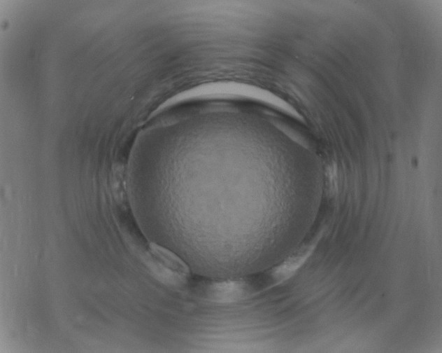 X0000076100237200610061714