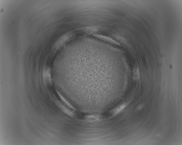 X0000076100238200610061714