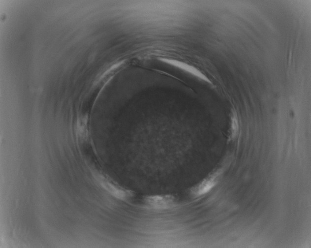 X0000076100239200610061714