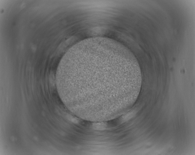 X0000076100240200610061714