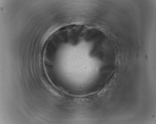 X0000076100242200610061713