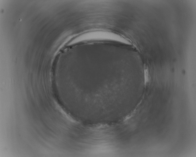 X0000076100243200610061713