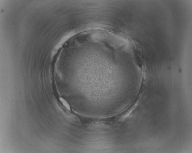 X0000076100244200610061714