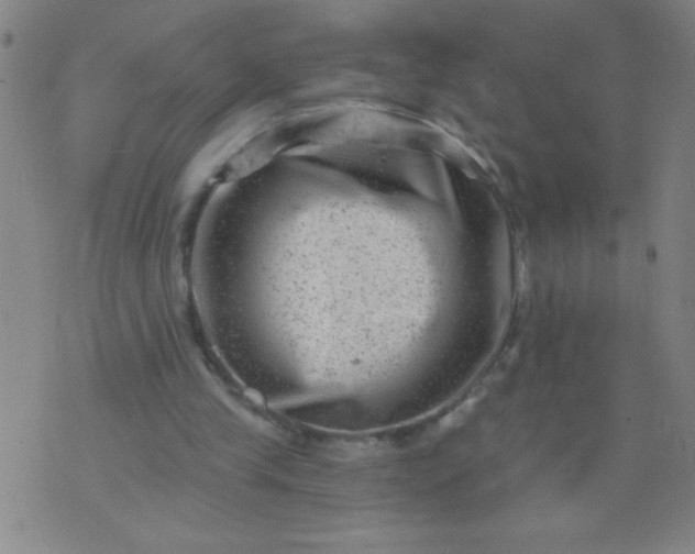 X0000076100245200610061714