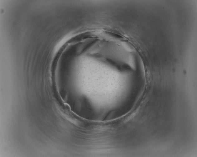 X0000076100246200610061714