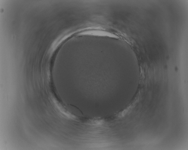 X0000076100247200610061714