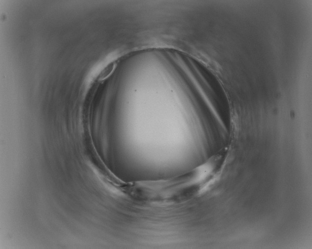 X0000076100248200610061714