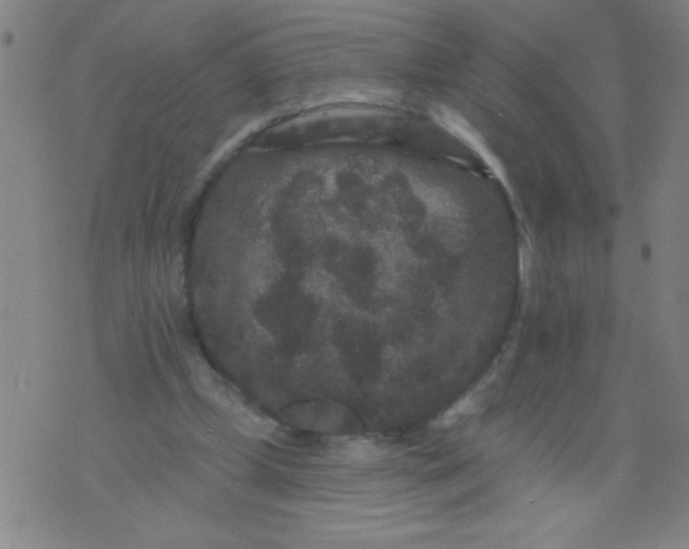 X0000076100249200610061714