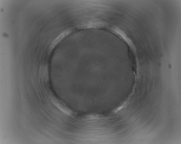 X0000076100250200610061714