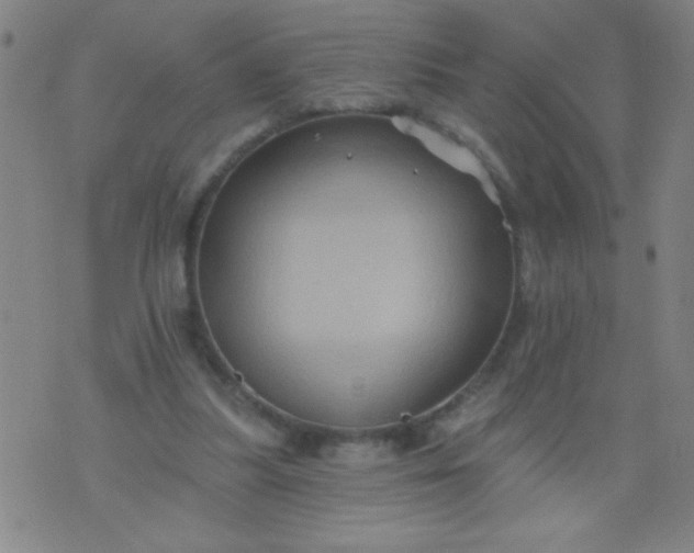 X0000076100251200610061714