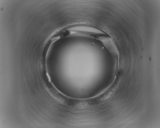 X0000076100252200610061714