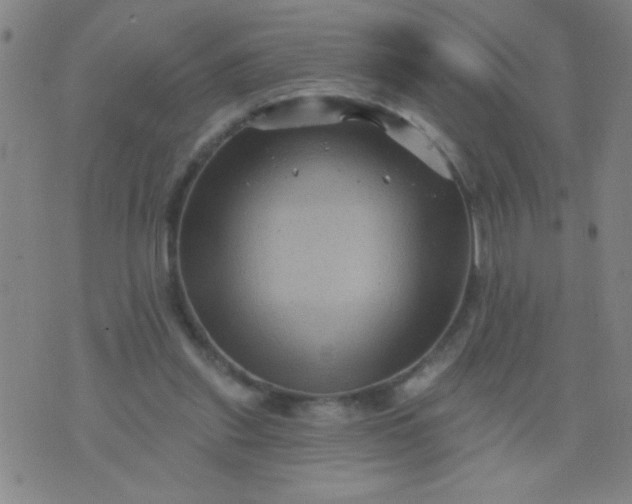 X0000076100253200610061714