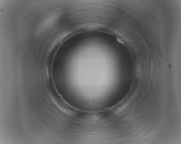 X0000076100254200610061714