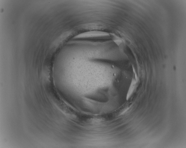 X0000076100255200610061714