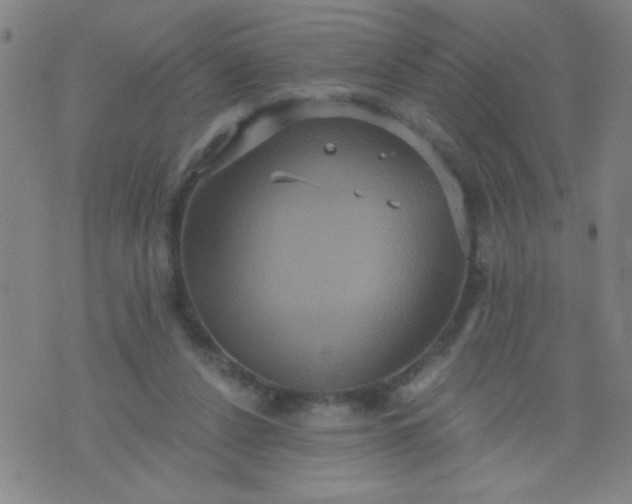 X0000076100256200610061714