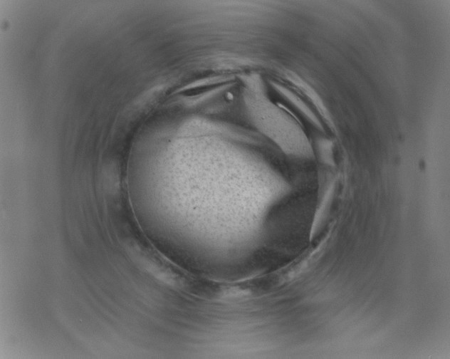 X0000076100257200610061714