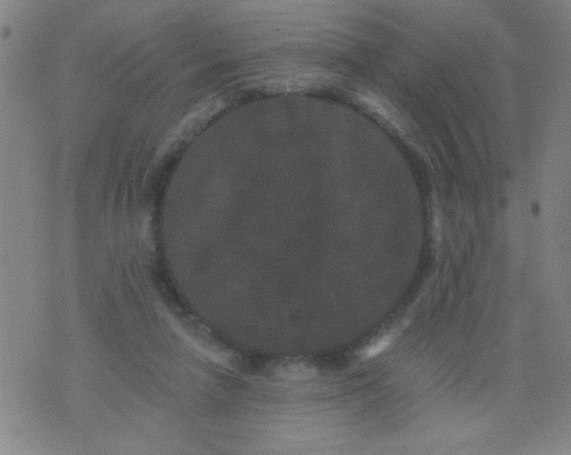 X0000076100258200610061714