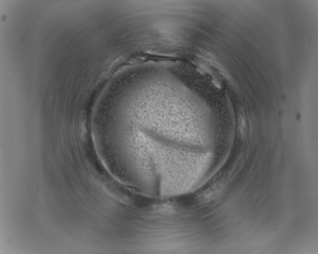 X0000076100259200610061714