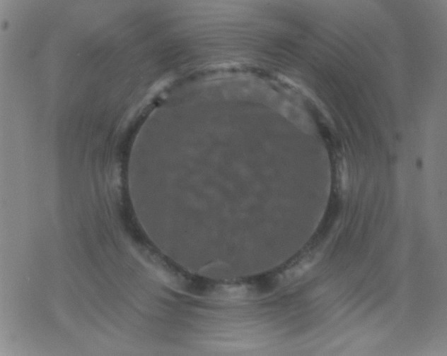 X0000076100260200610061714