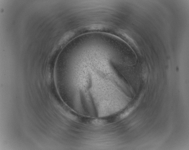 X0000076100261200610061714