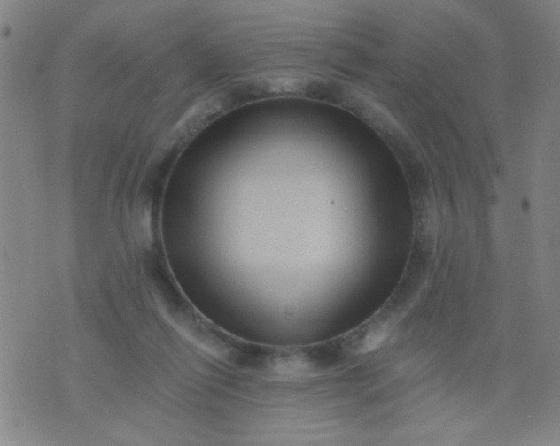 X0000076100262200610061714