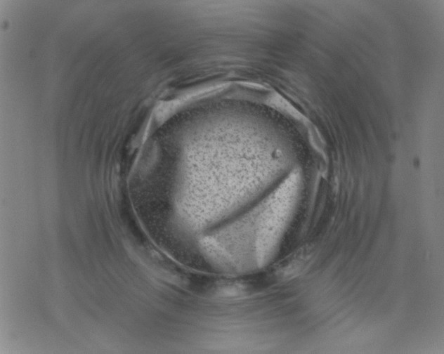 X0000076100263200610061714