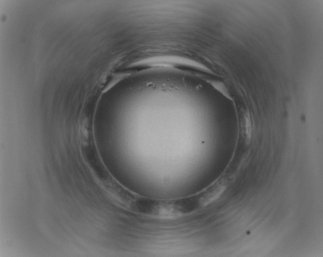 X0000076100264200610061714