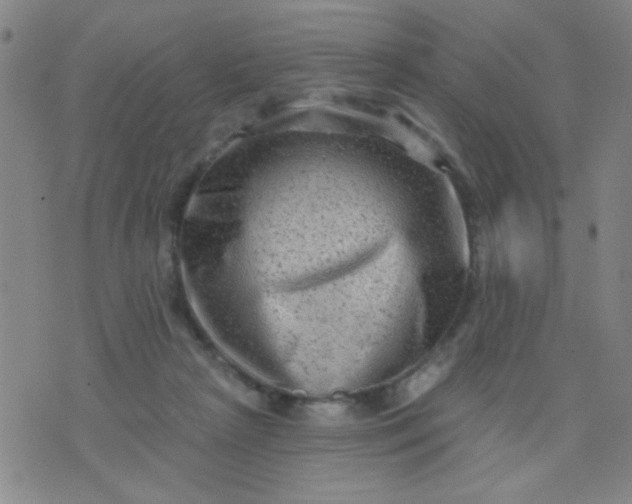 X0000076100265200610061714