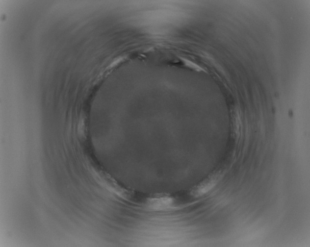 X0000076100266200610061714