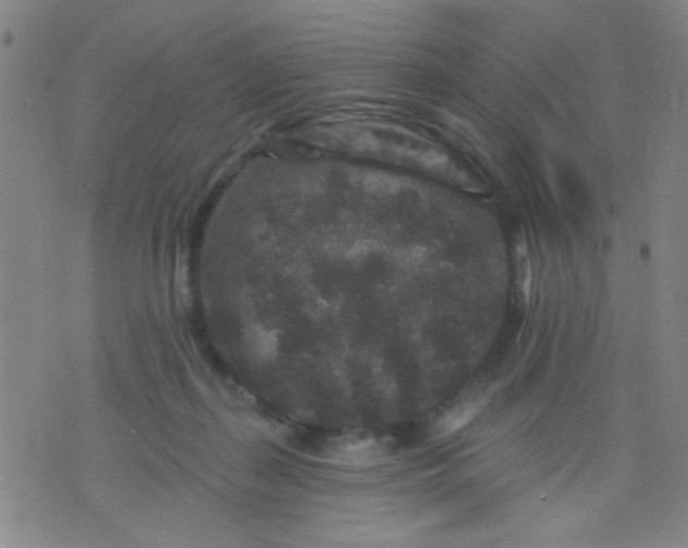 X0000076100267200610061714