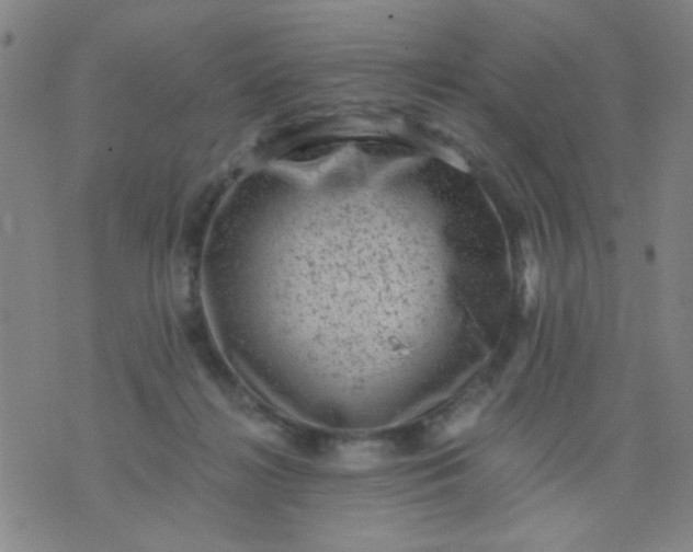 X0000076100268200610061714