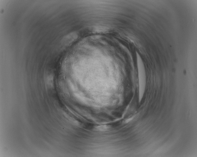 X0000076100269200610061714