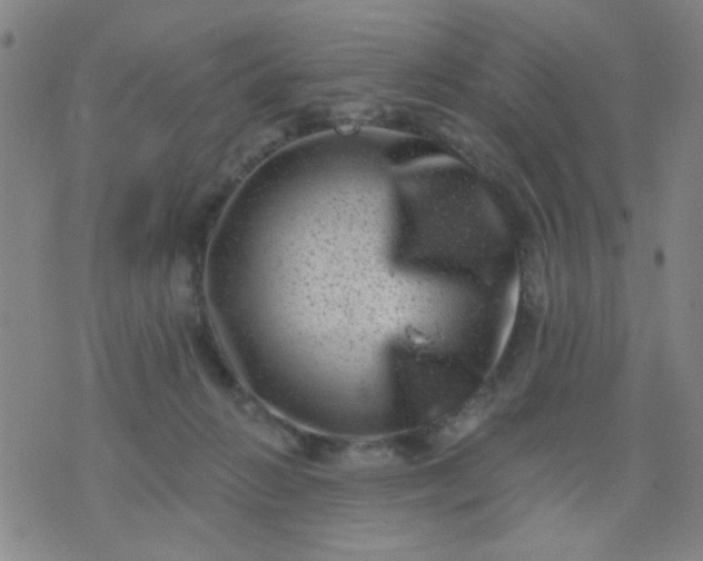 X0000076100270200610061714