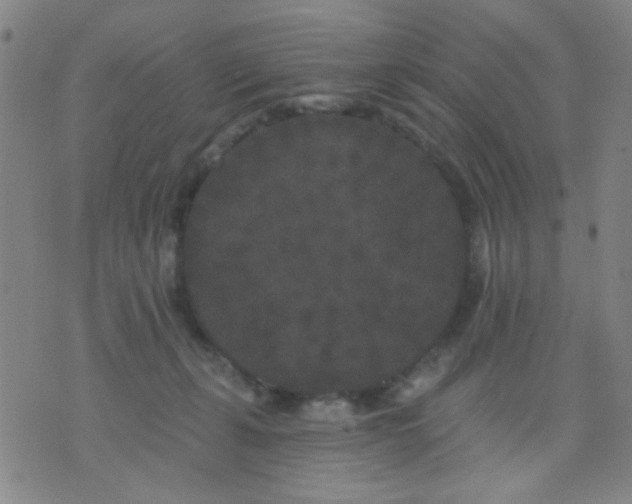 X0000076100271200610061714