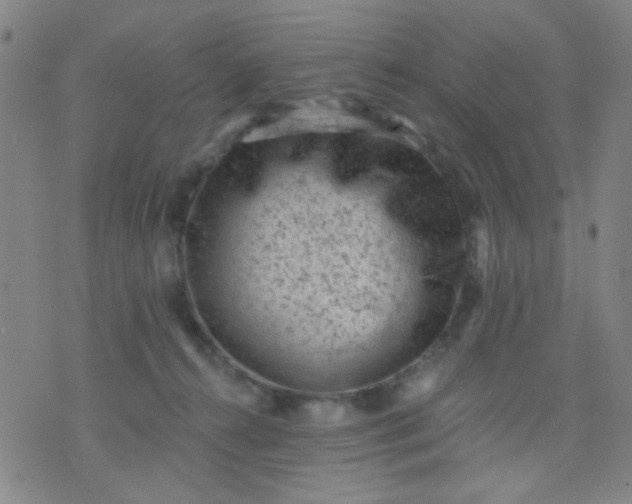 X0000076100272200610061714