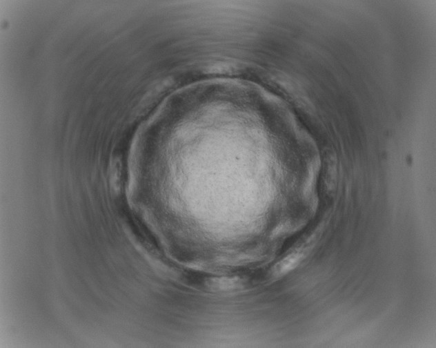 X0000076100273200610061714