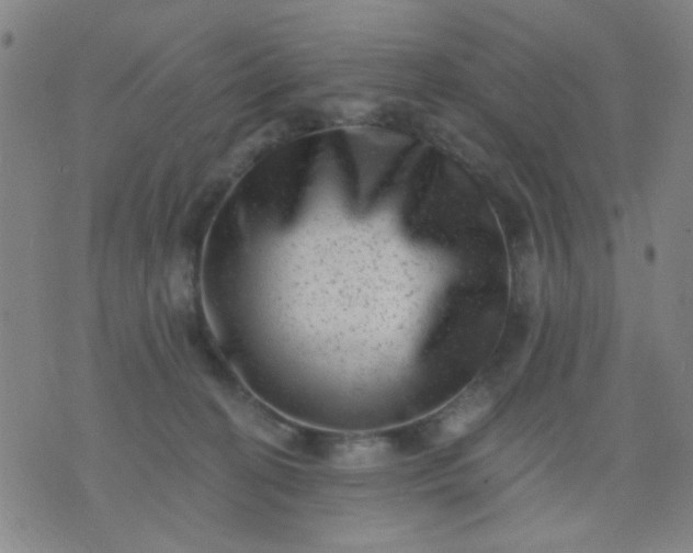 X0000076100274200610061714