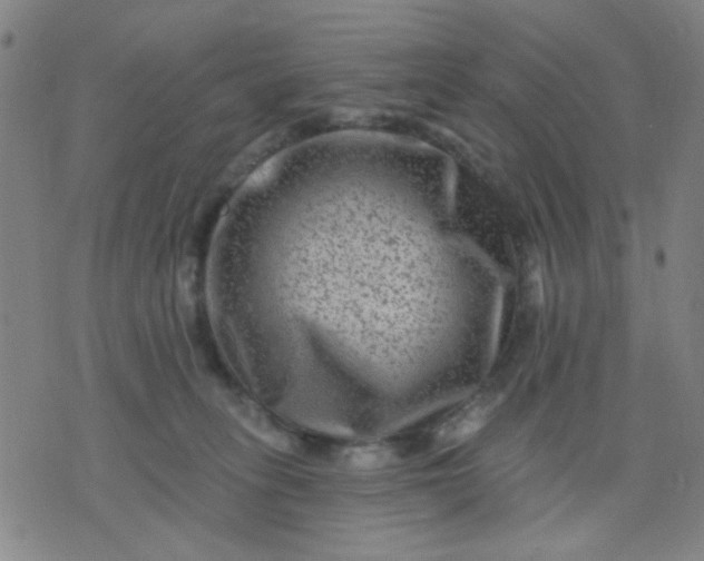 X0000076100275200610061714