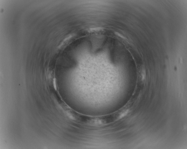 X0000076100276200610061714