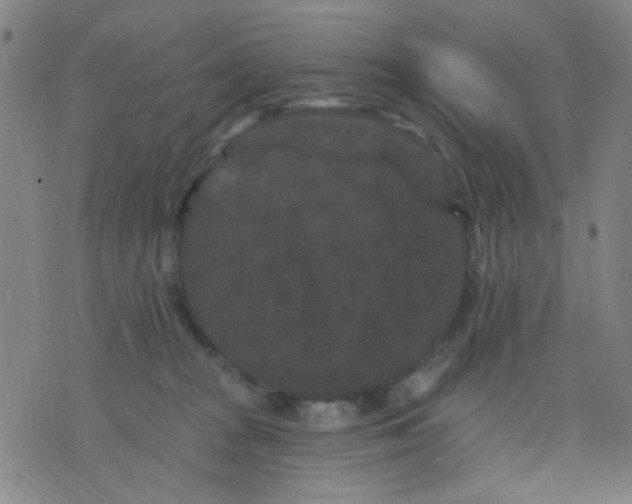 X0000076100277200610061714