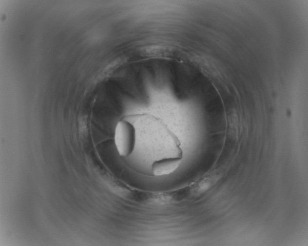 X0000076100278200610061714